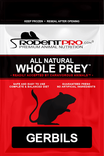 Frozen reptile food online best sale